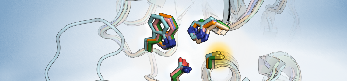 Superposition of Cathepsin K and other proteases (Image: Natalia Yuan Chen)
